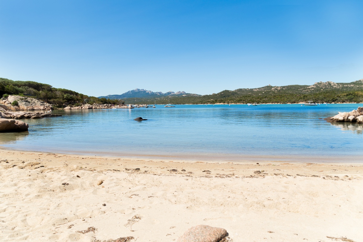 Villa ARZACHENA affitto  Porto Cervo  Immobiliare Nord Ovest