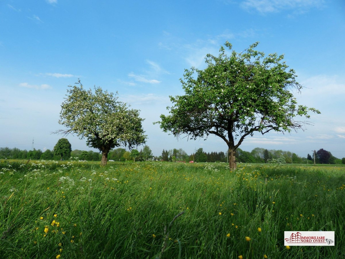 Vendita Terreno agricolo Terreno Corbetta via Parini 467800